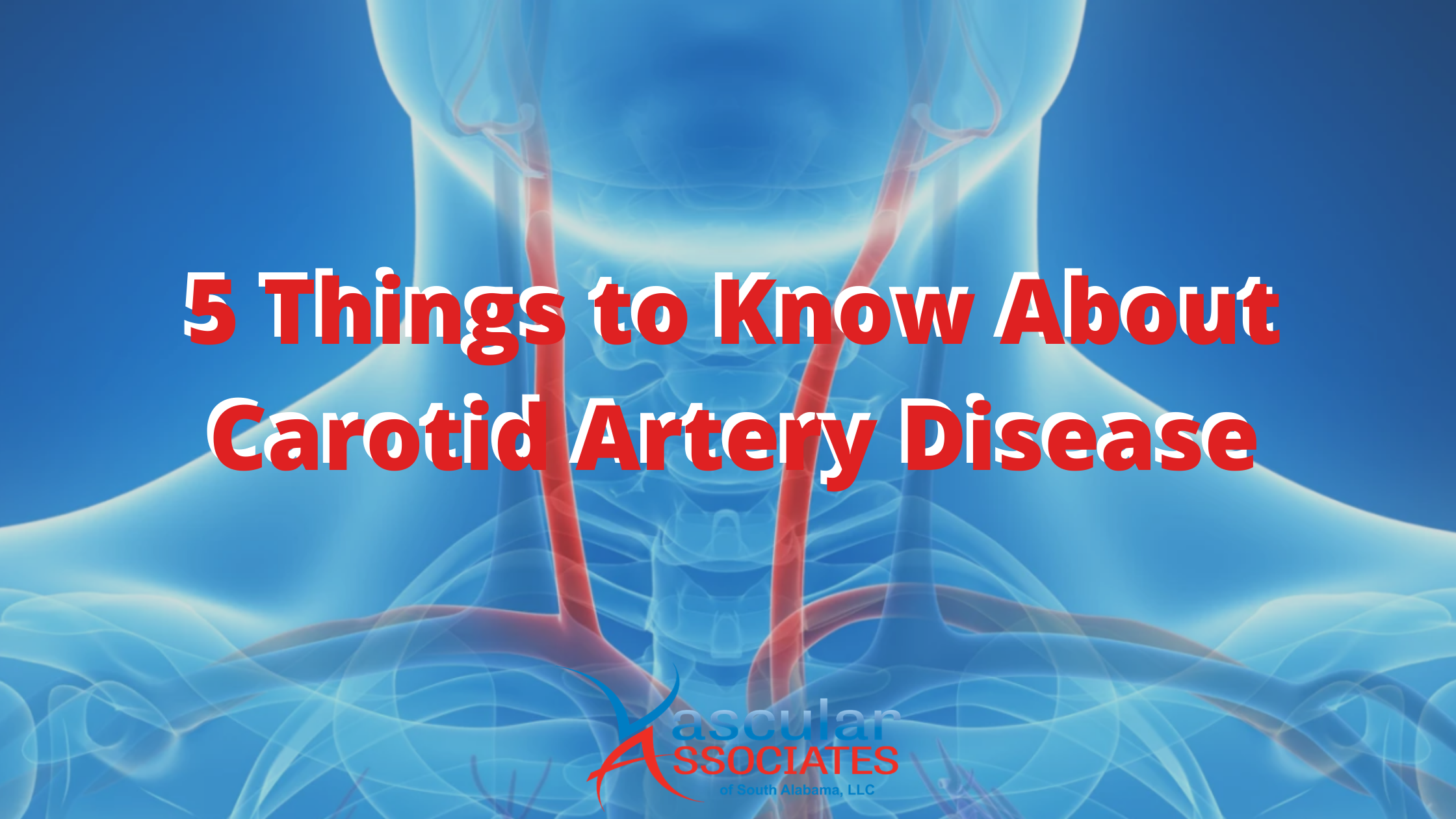 5 Things to Know About Carotid Artery Disease (1).png